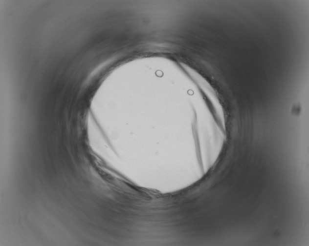 X0000113001402200910081146