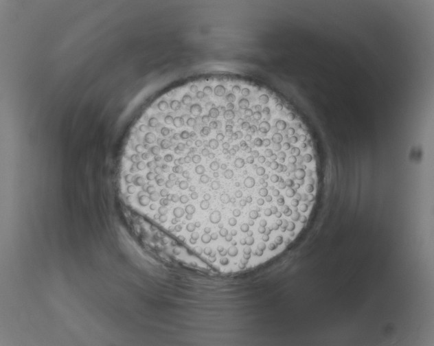 X0000113001404200910081146