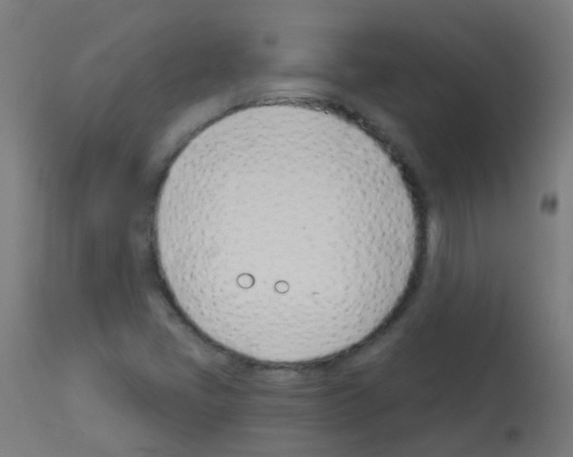 X0000113001405200910081146