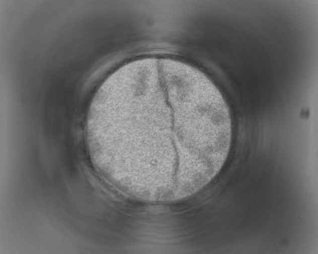 X0000113001407200910081147