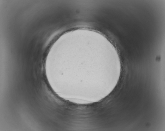 X0000113001408200910081147