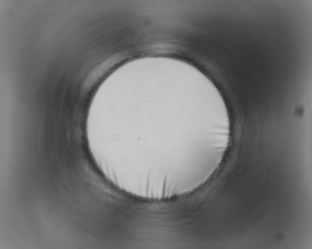 X0000113001410200910081147