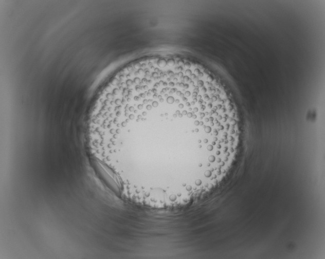 X0000113001412200910081147