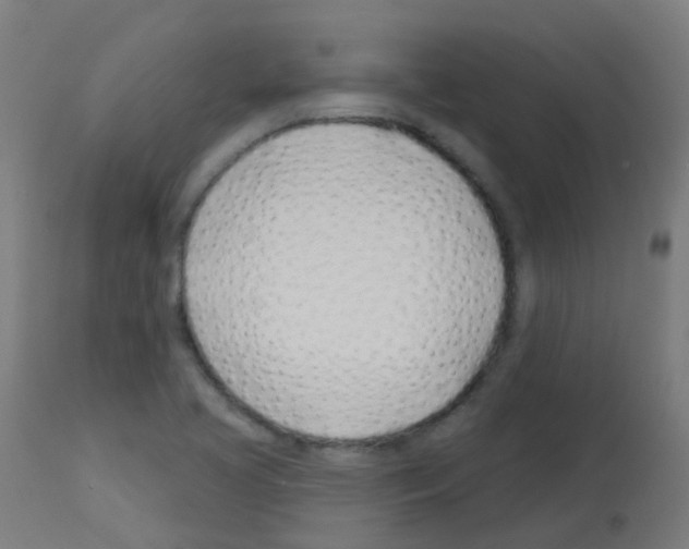 X0000113001413200910081147