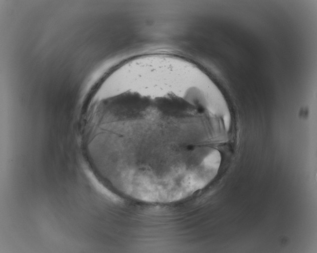 X0000113001414200910081147