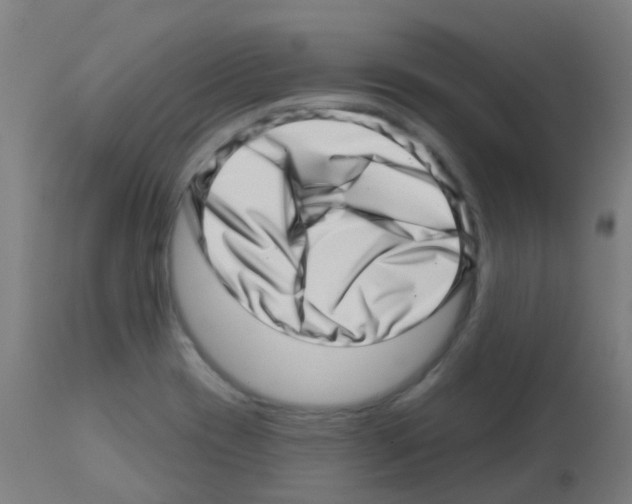 X0000113001417200910081147