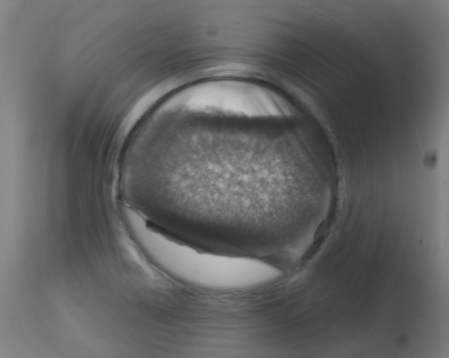 X0000113001418200910081147