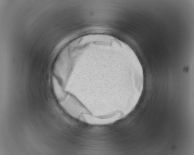 X0000113001419200910081147