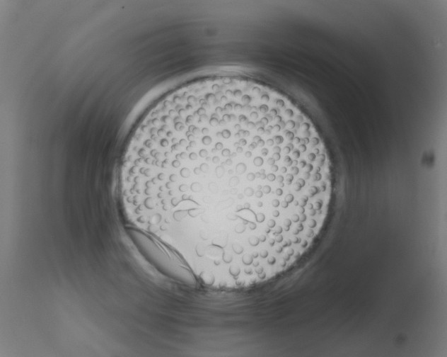 X0000113001420200910081147