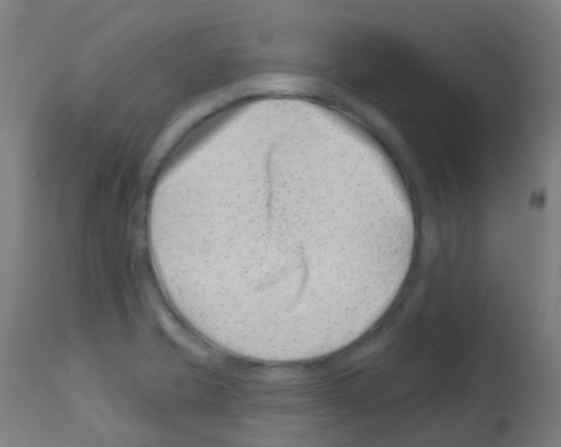 X0000113001421200910081147