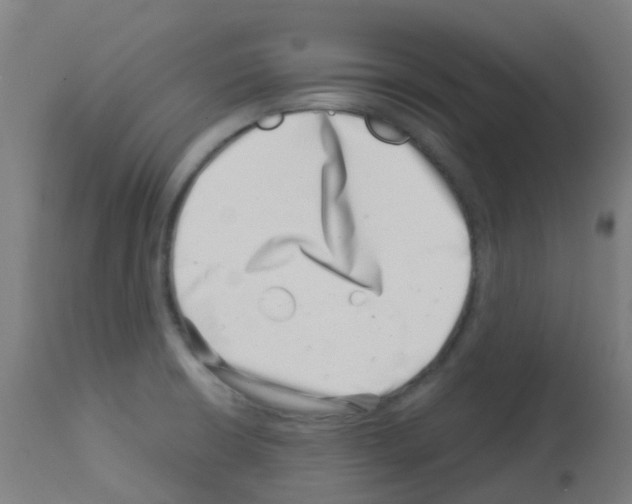 X0000113001426200910081147