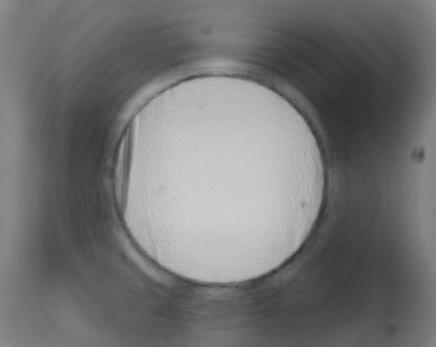 X0000113001429200910081147