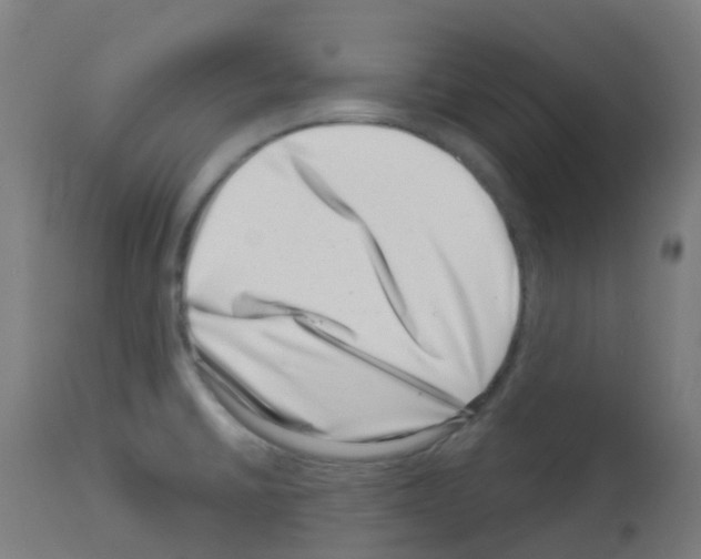 X0000113001430200910081147