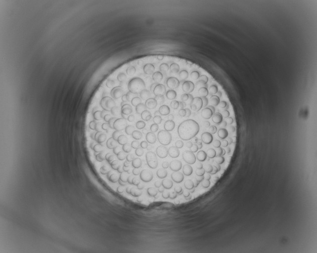 X0000113001432200910081147