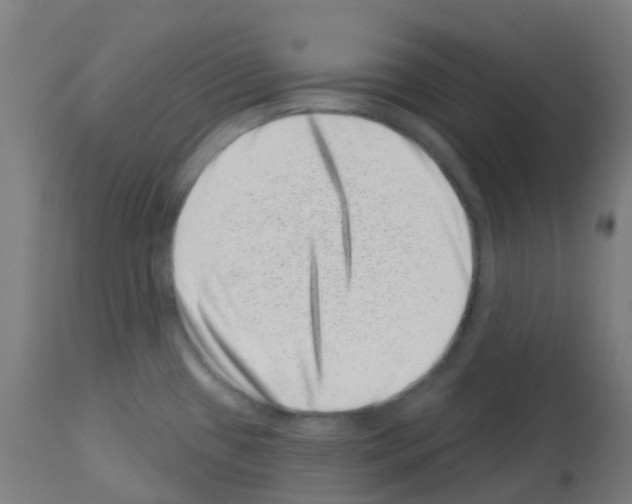 X0000113001433200910081147