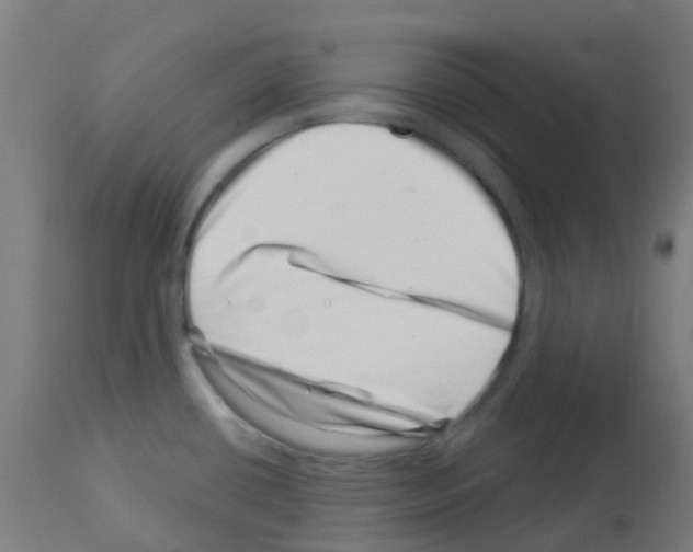 X0000113001434200910081147