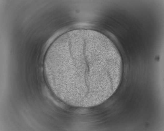 X0000113001435200910081147