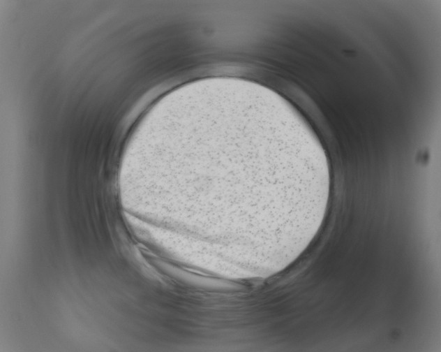 X0000113001436200910081147