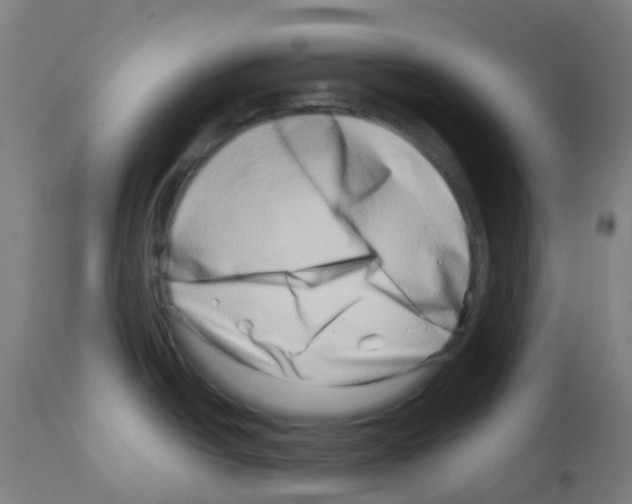 X0000113001438200910081147