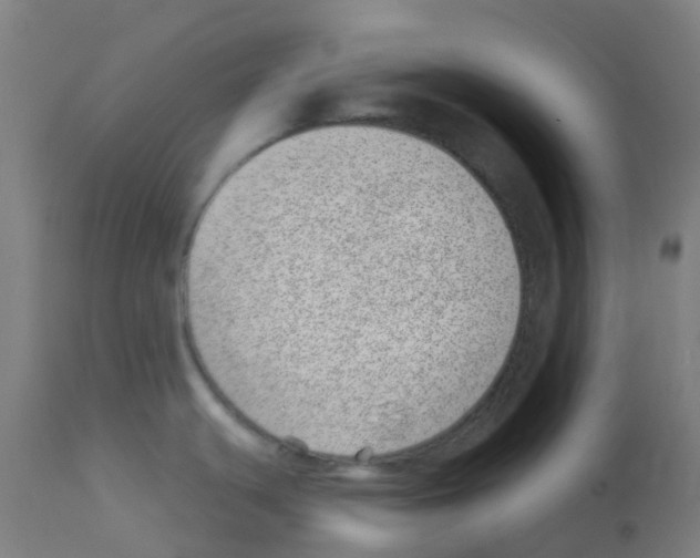 X0000113001439200910081147