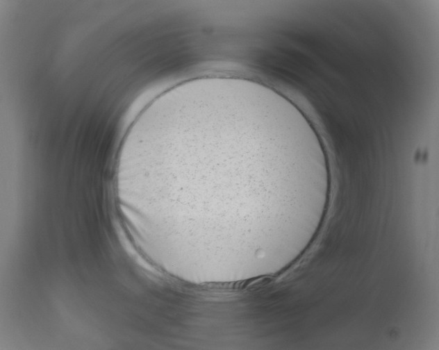 X0000113001440200910081147