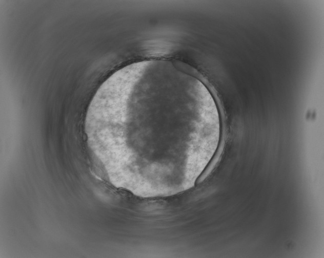 X0000113001441200910081146