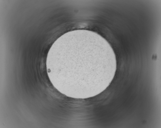 X0000113001442200910081146