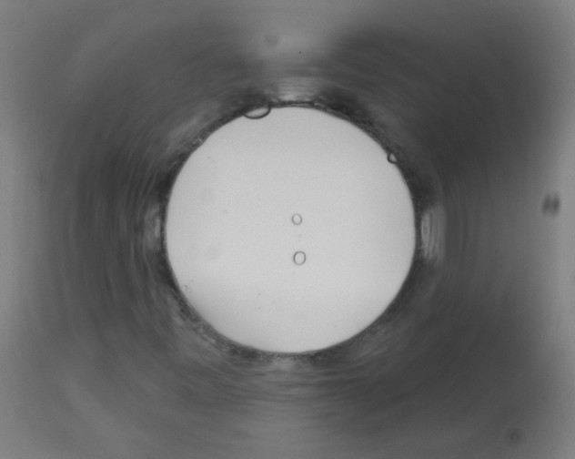 X0000113001443200910081146