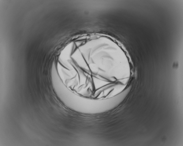 X0000113001444200910081146