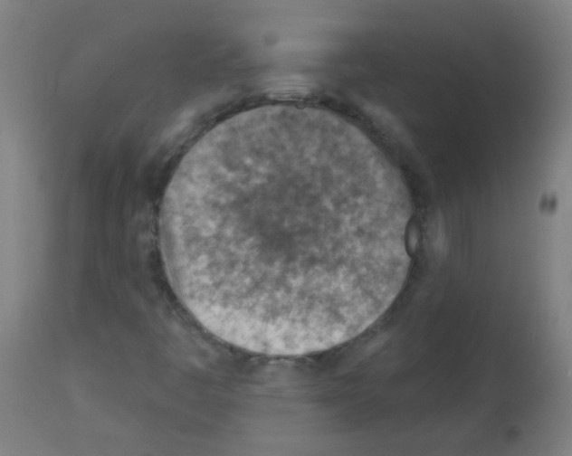 X0000113001445200910081146