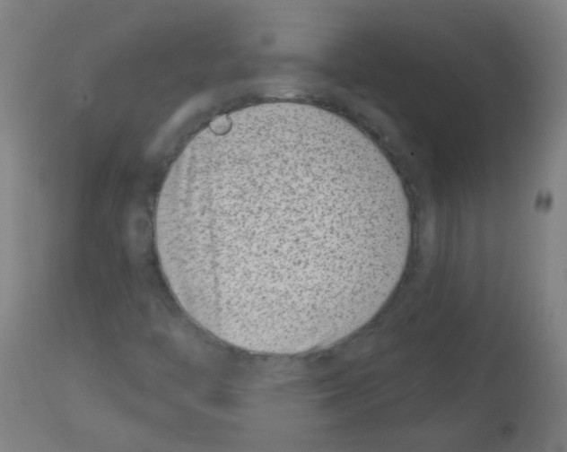 X0000113001446200910081146