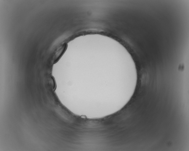 X0000113001448200910081146