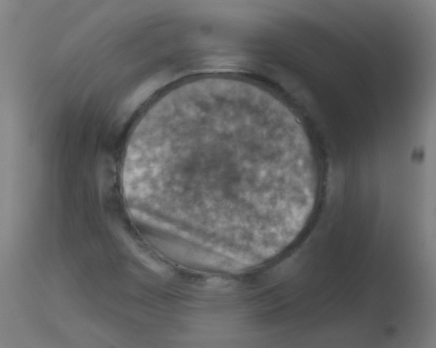 X0000113001449200910081146