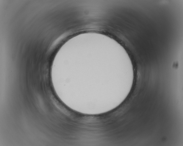 X0000113001450200910081146