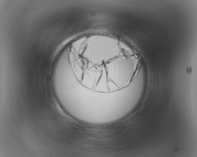 X0000113001452200910081146