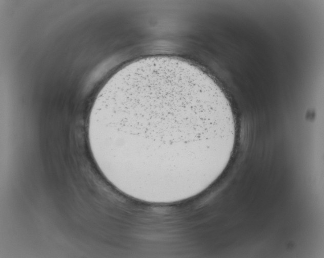 X0000113001453200910081146