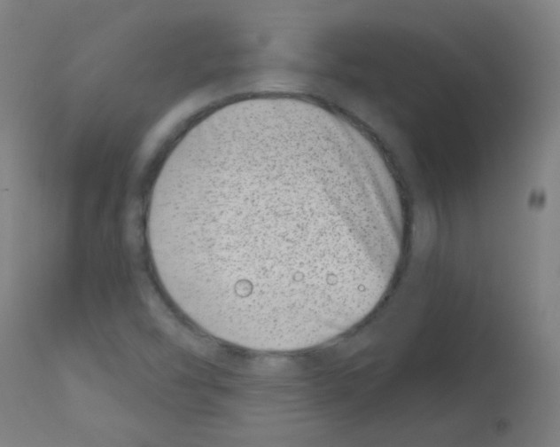 X0000113001454200910081146