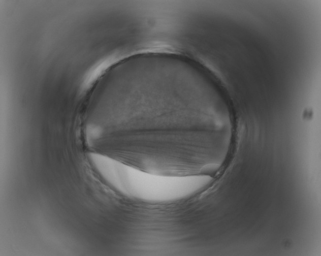 X0000113001455200910081146