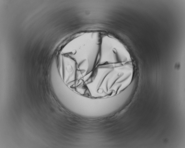 X0000113001457200910081146