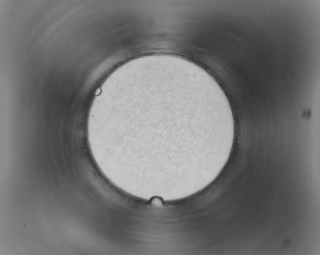 X0000113001458200910081146