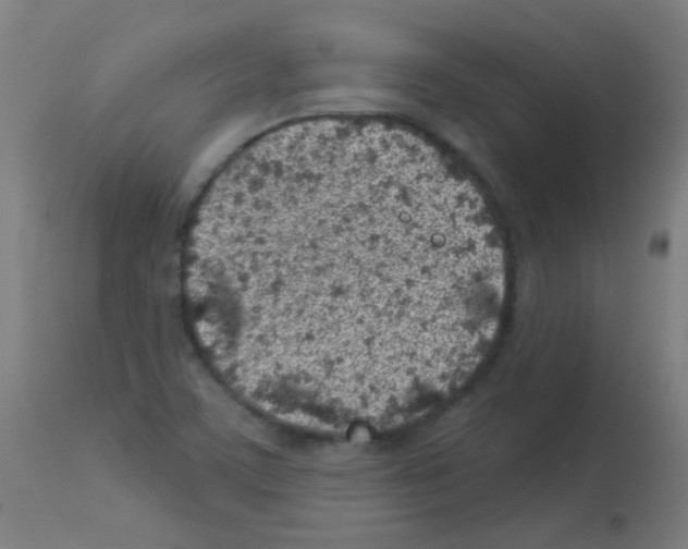 X0000113001459200910081146