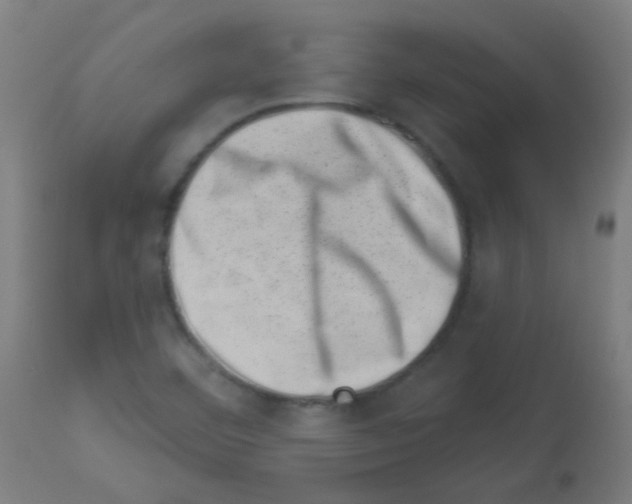 X0000113001460200910081146