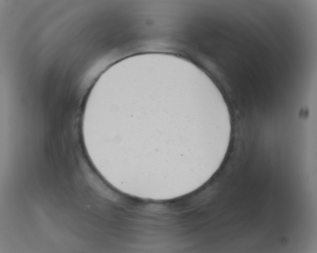 X0000113001463200910081146