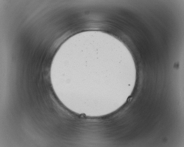 X0000113001465200910081146