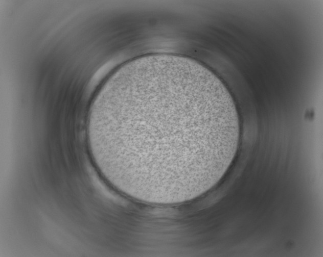 X0000113001466200910081146