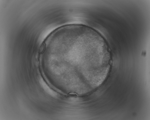 X0000113001468200910081146