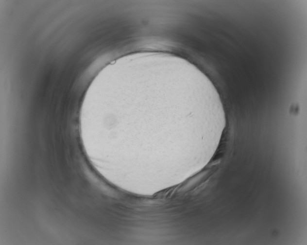 X0000113001471200910081146