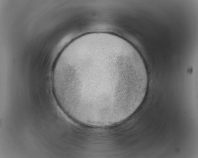 X0000113001472200910081146