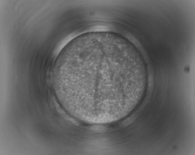 X0000113001473200910081146