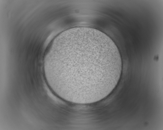 X0000113001474200910081146